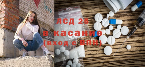 гидра Каменногорск