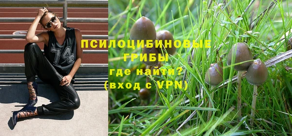 гидра Каменногорск