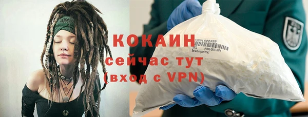 прущие крисы Каменка