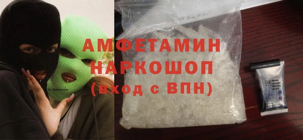 гидра Каменногорск
