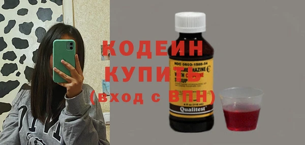 гидра Каменногорск