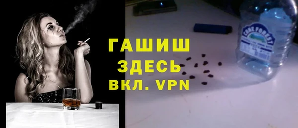 гидра Каменногорск