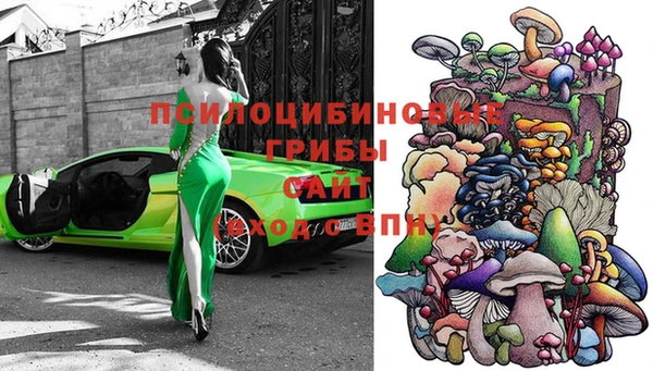 прущие крисы Каменка