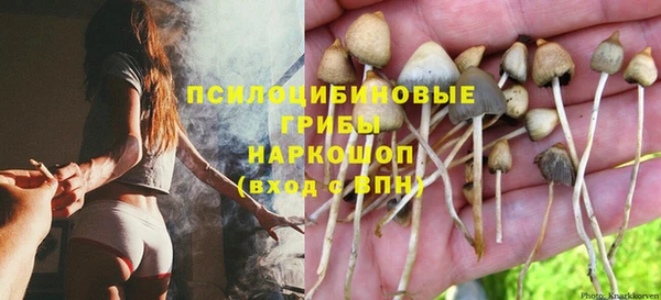 гидра Каменногорск